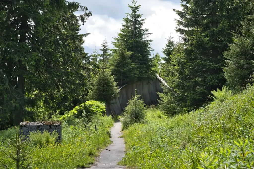 Die Natur holt sich alles zurück