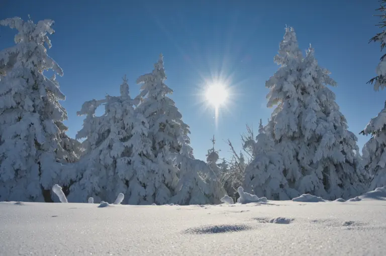 Wandern im Winter