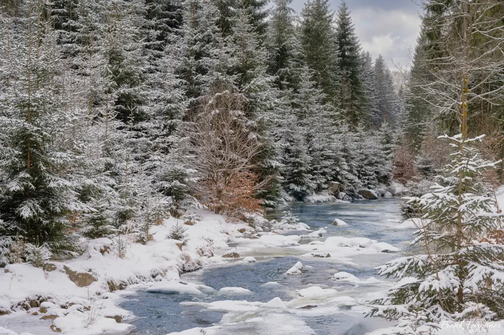 Das Schwarzwassertal im Winter