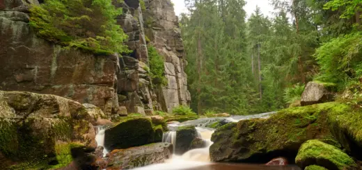 Das Schwarzwassertal im Erzgebirge