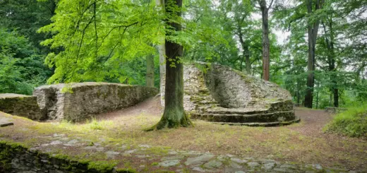 Die Burgruine Isenburg