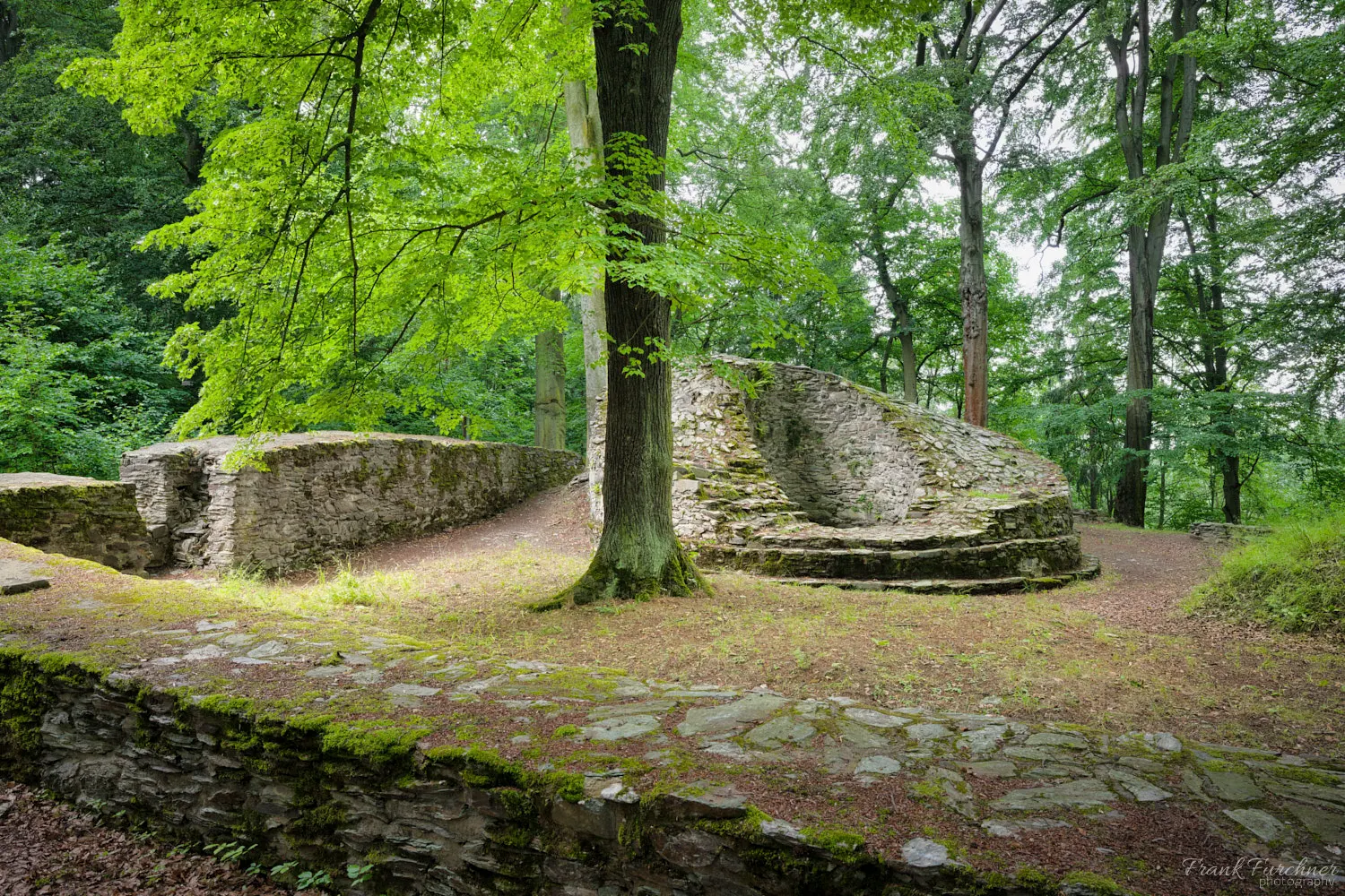 Die Burgruine Isenburg