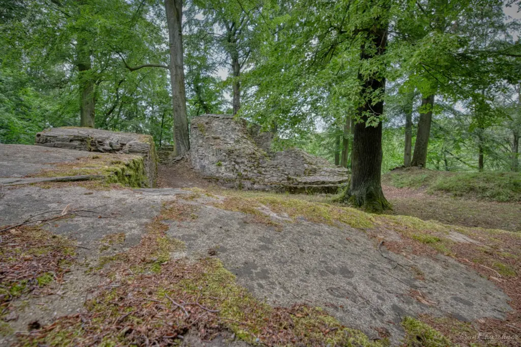 Die Maurereste der Burg
