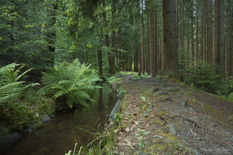 Landschaften im Erzgebirge, der Röhrgraben in Geyer