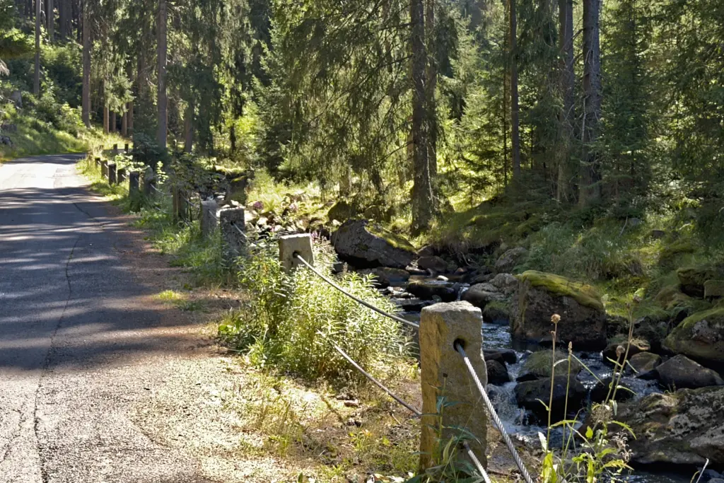 Dem Schwarzwasser entlang