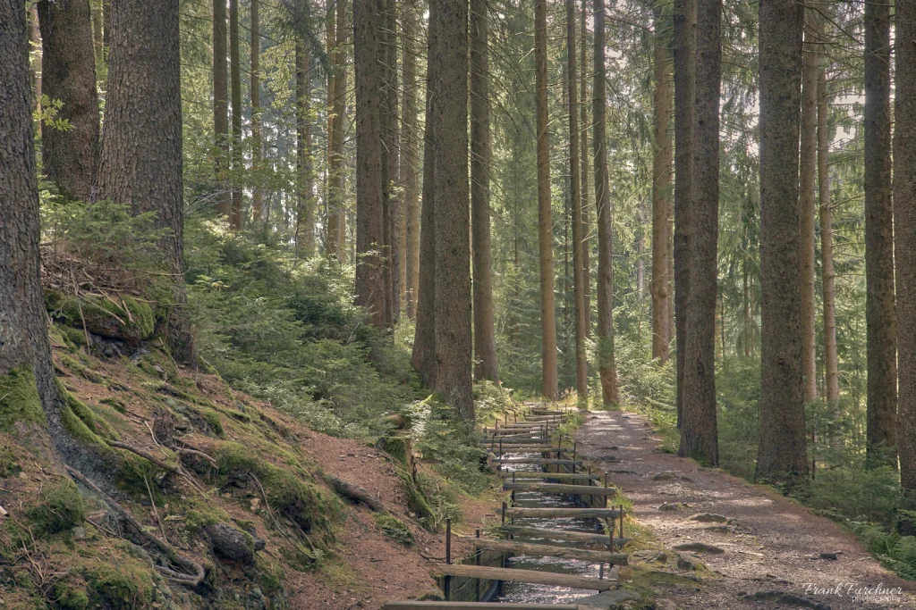 Unterwegs am Röhtgraben