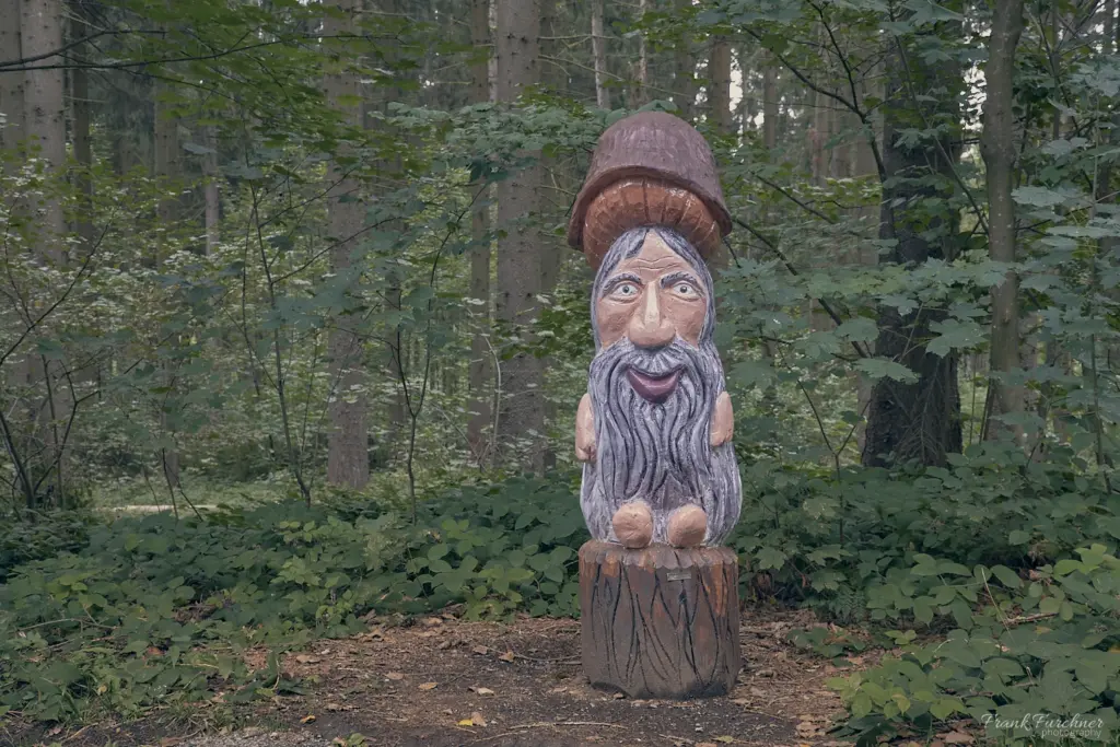 Der Pilzmann