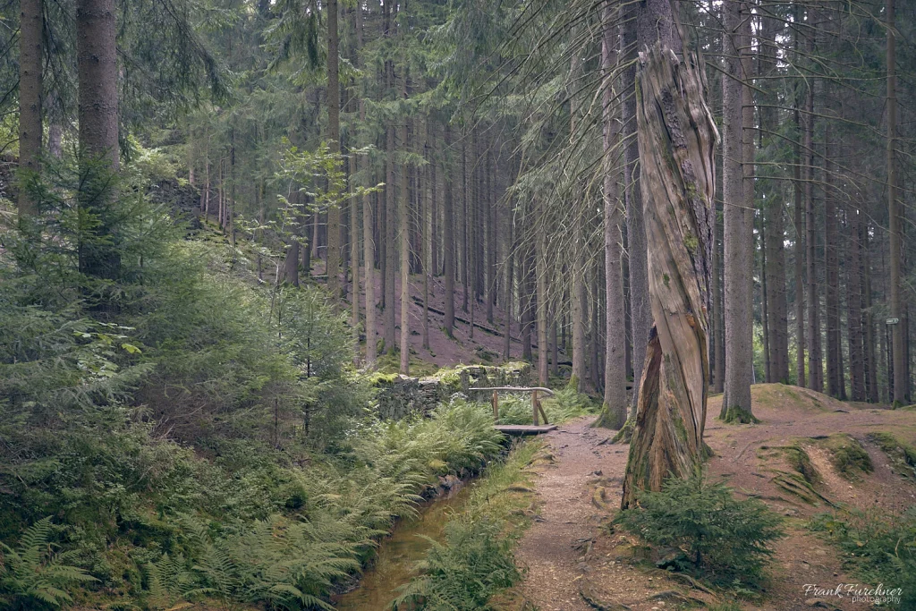 Pochwerk, Wäsche und Scheidebank