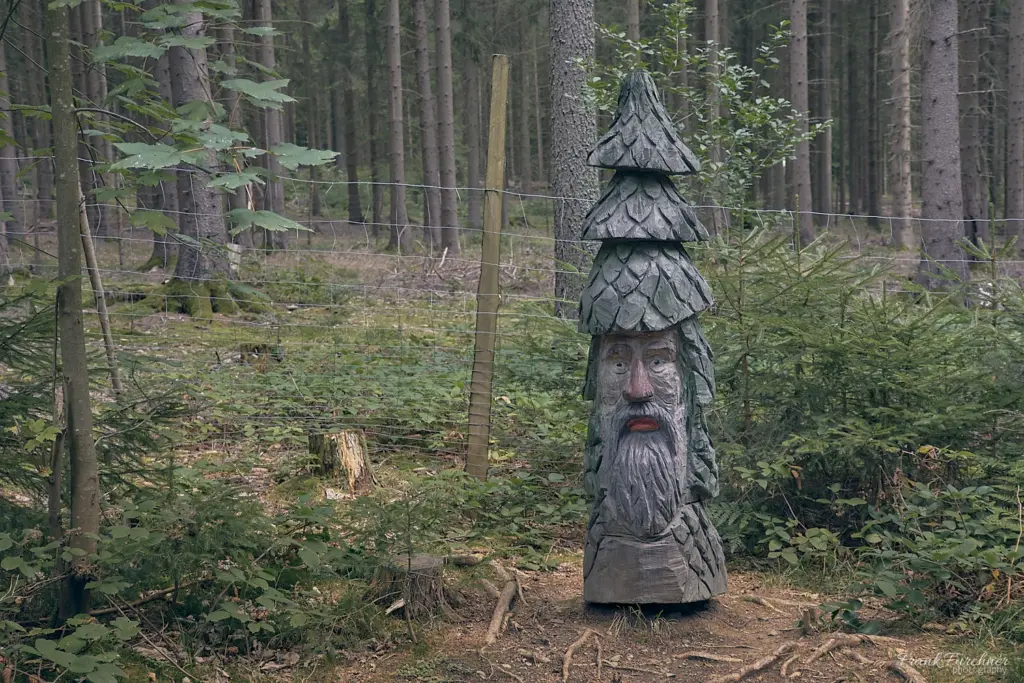 Der Tannenmann auf dem Waldgeisterweg