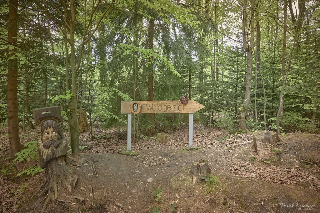 Der Waldgeisterweg im Erzgebirge
