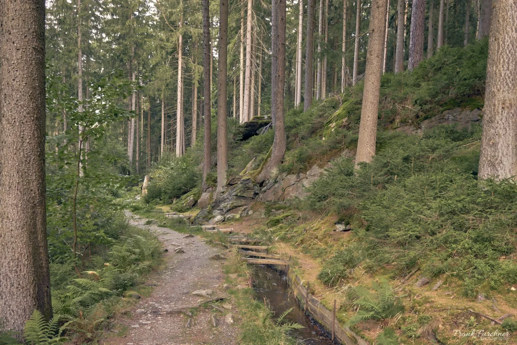 Wandern am Röhrgraben