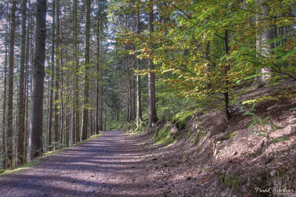Wanderung zum Schloss Hohenwendel